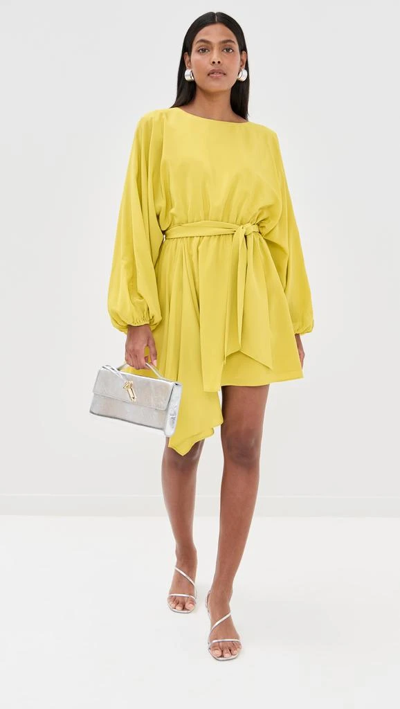 Azeeza Naila Mini Dress 4