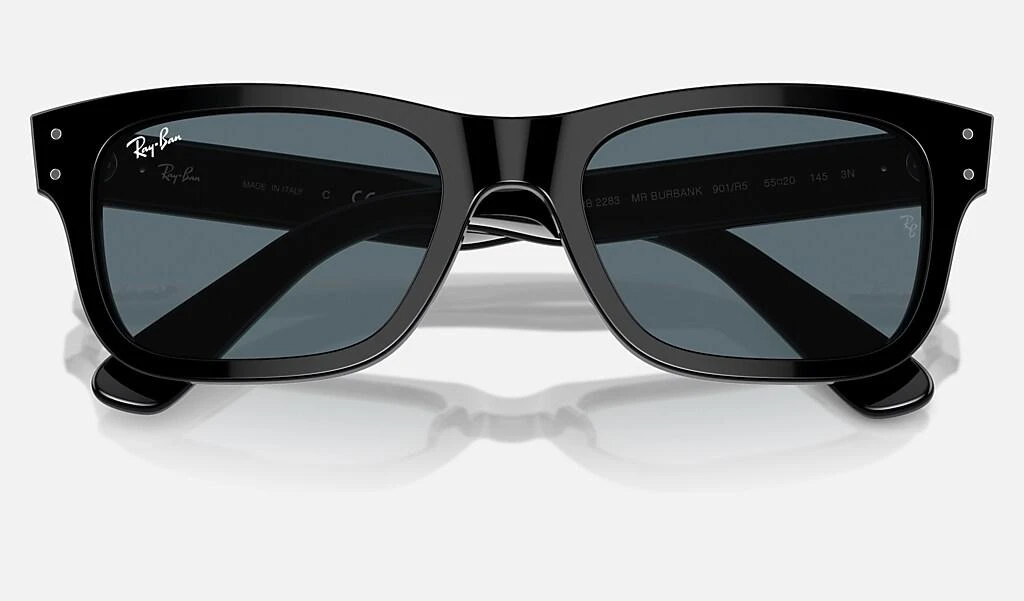 Ray-Ban BURBANK 5