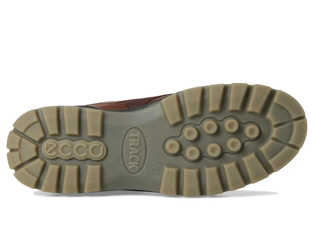 ECCO Track 25 Low GORE-TEX Waterproof Hiking Shoe 3