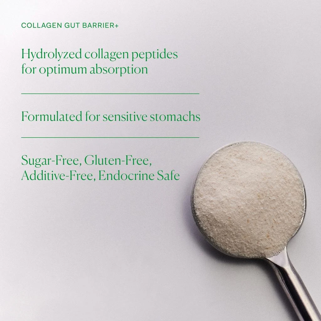 The Nue Co. The Nue Co. Collagen Gut Barrier+ Powder 200g 4