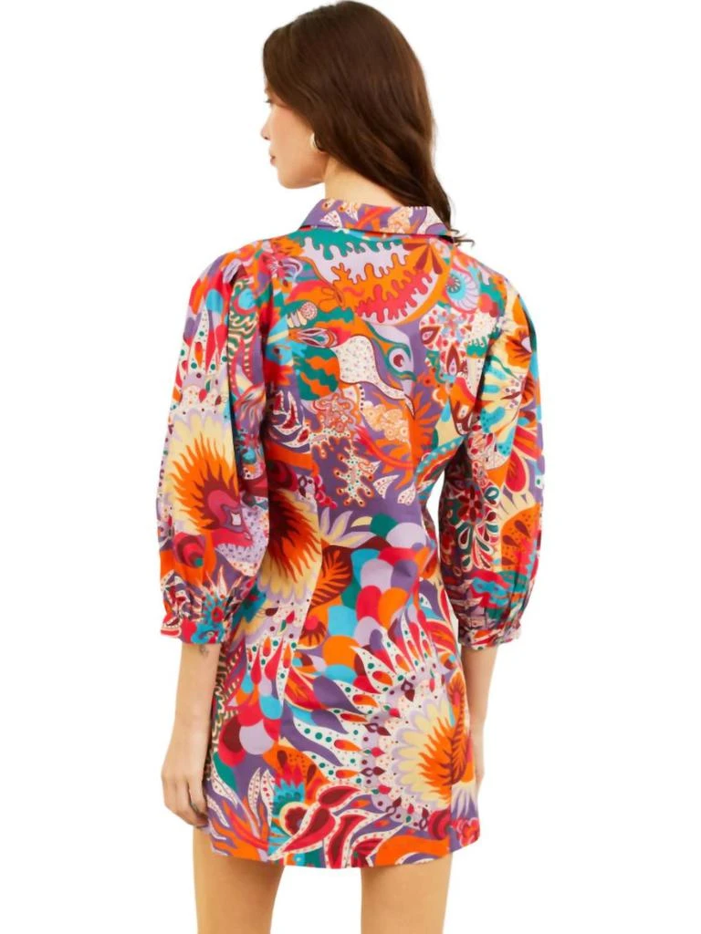 Love The Label Love The Label - Sula Dress 2