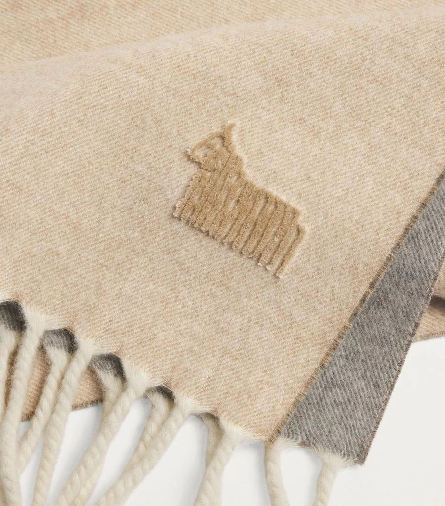 LANIFICIO COLOMBO Cashmere Scarf 5