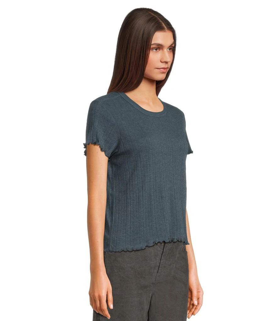 Toad & Co Foothill Pointelle Short Sleeve Baby Tee 2