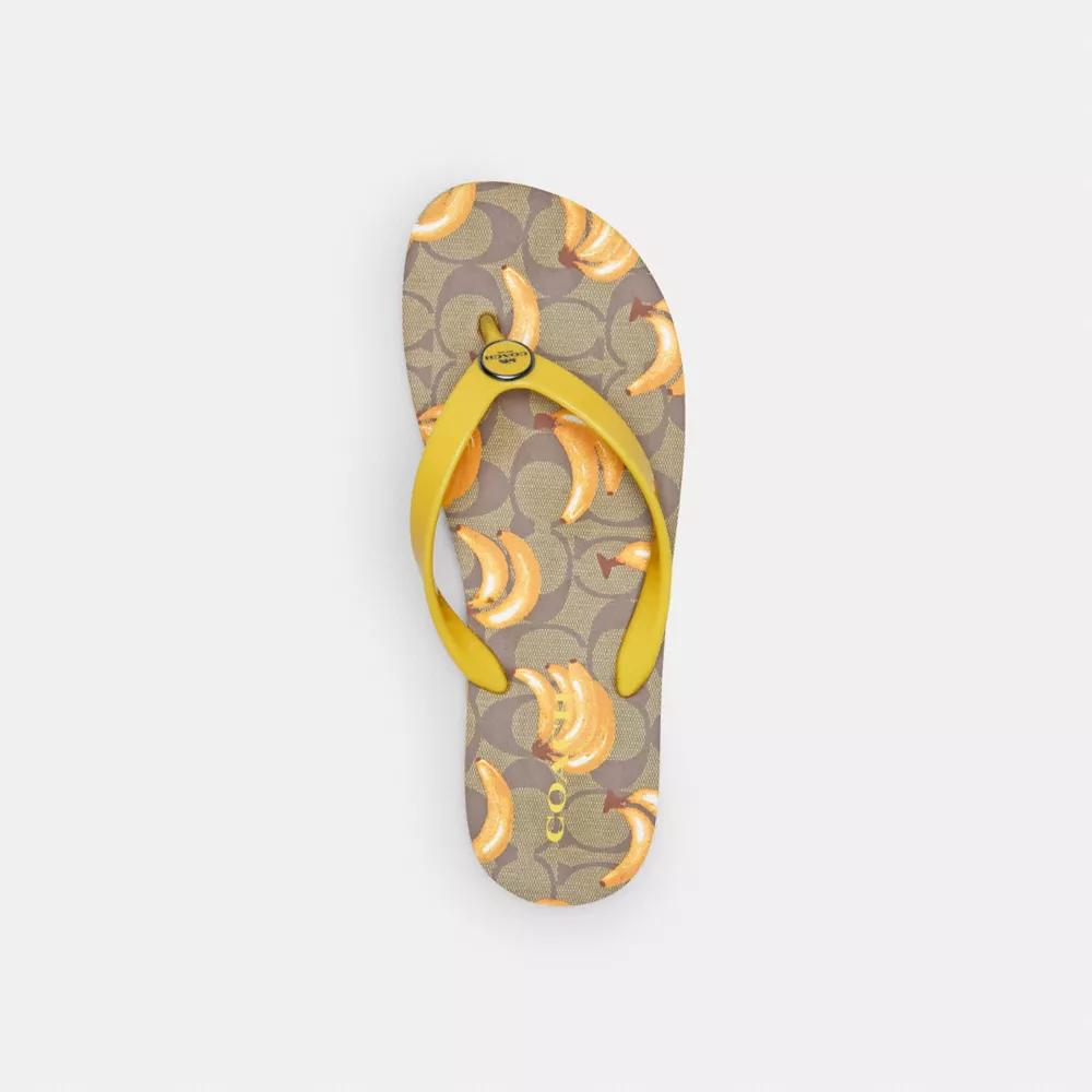 Coach Zayn Flip Flop With Fruit Print - Slippers - Compare