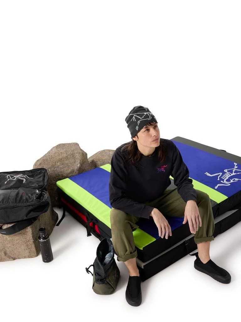 Arc
teryx Arc
teryx Aestas Crew Neck Pullover Women
s | Fleece Crew for Rock Climbing 5