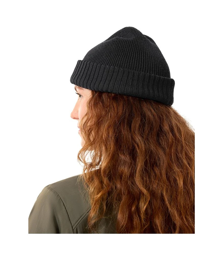 Arc'teryx Mallow Toque 3