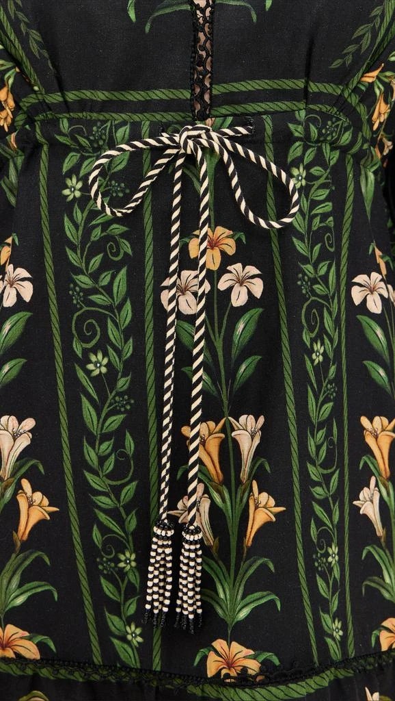 Farm Rio Flowers Arch Black Mini Dress 5