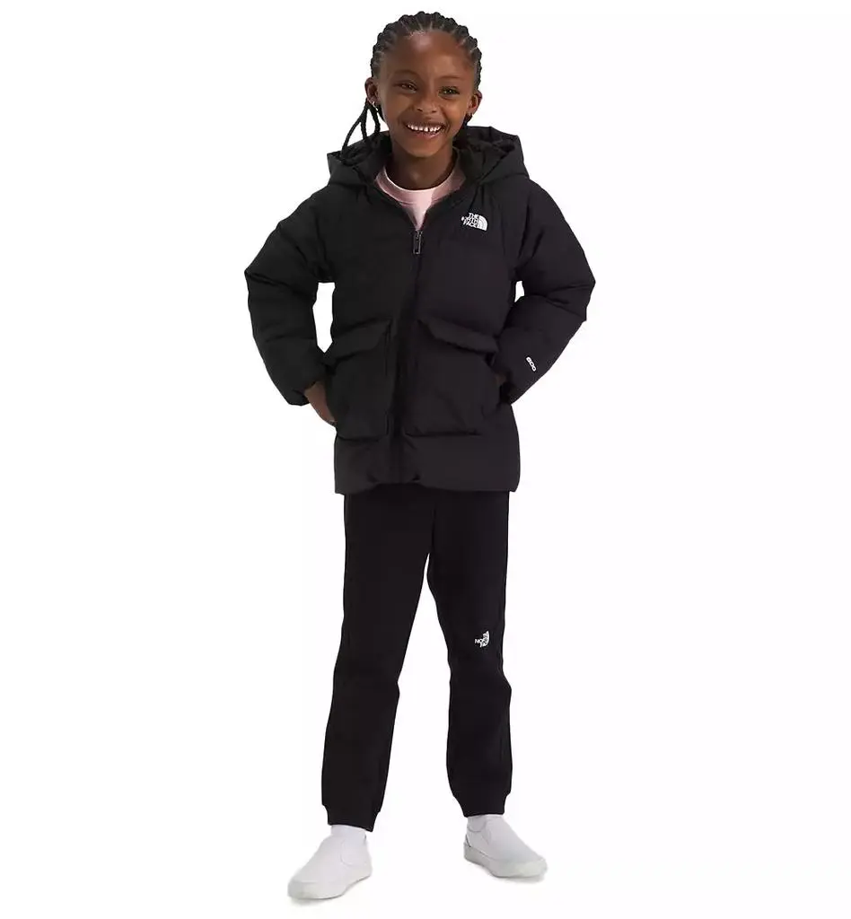 The North Face Toddler & Little Girls North Quilted Fleece-Lined Full-Zip Hooded Down Parka