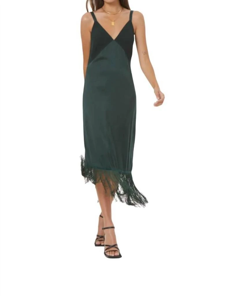 Young Fabulous & Broke Young Fabulous & Broke - Feliz Dress 1