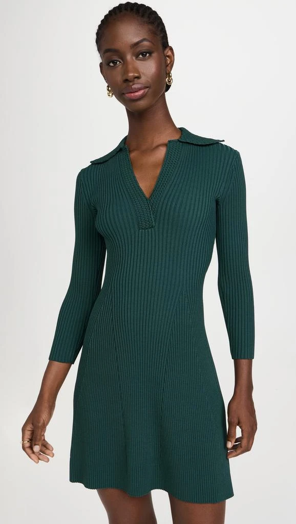 Shoshanna Robin Dress 6