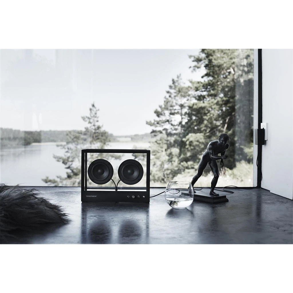 Transparent Small Speaker - Black 9