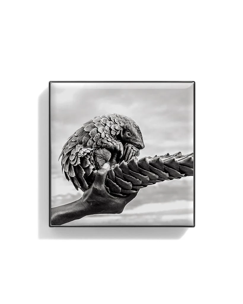 Chantecaille Luminescent Eye Shade 3