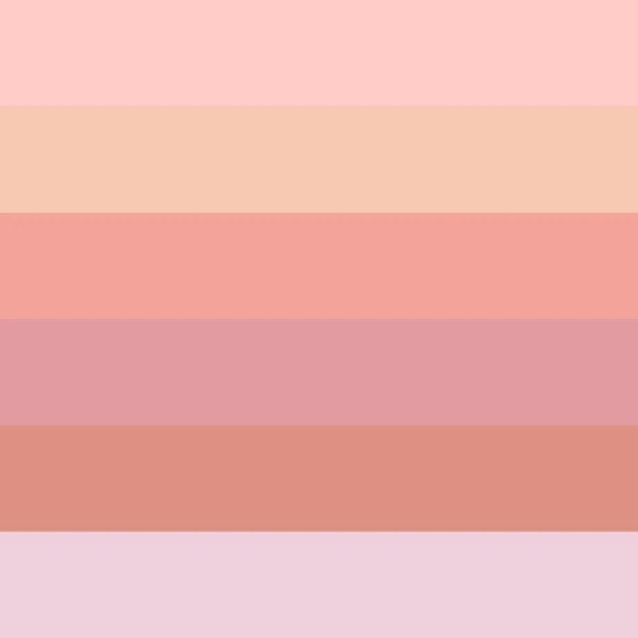 Suqqu Blurring Color Blush 4