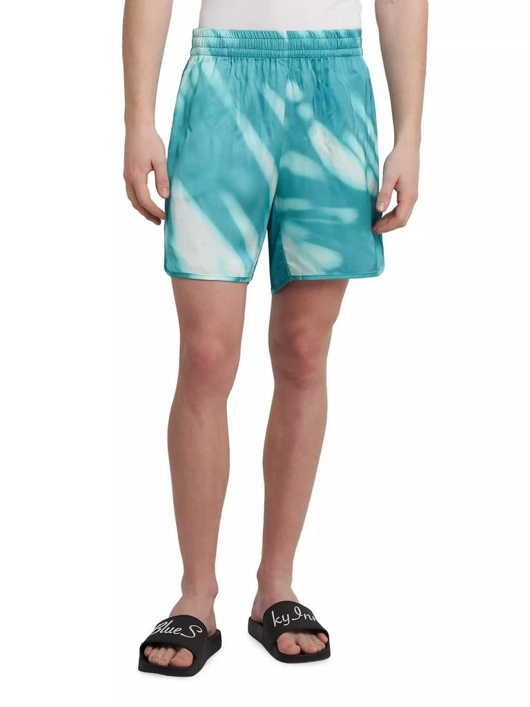 Blue Sky Inn Palm Shadow Abstract Shorts 3