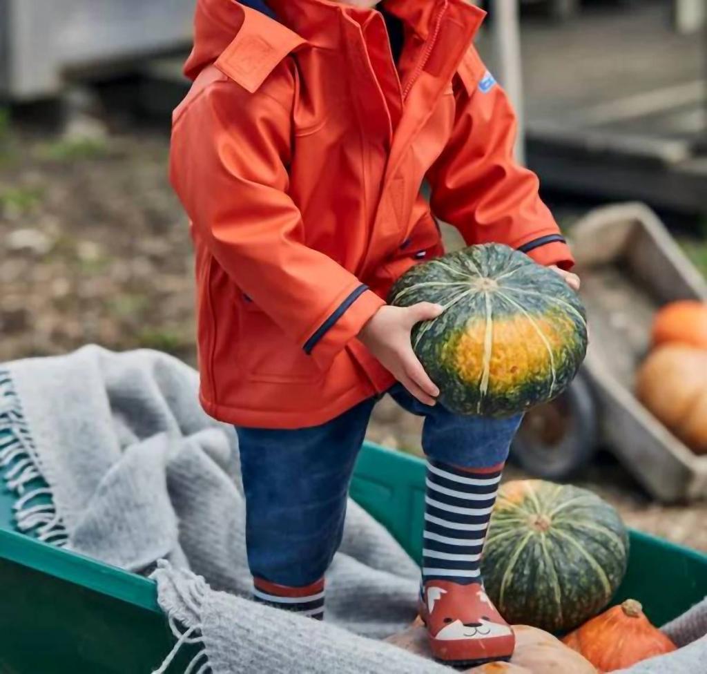 JoJo Maman Bébé Kid
s Stripe Fox Wellies Boot In Navy 
Ecru