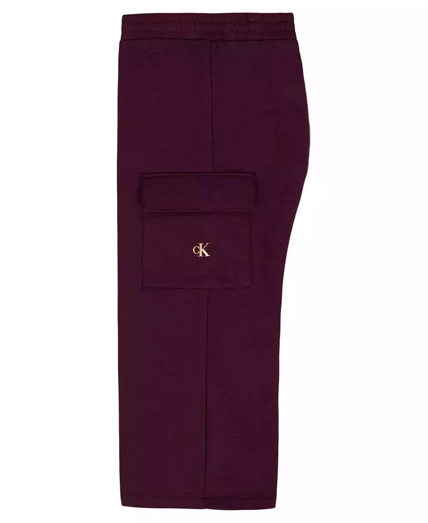 Calvin Klein Girls
Toddler 2T-4T Long-Sleeve Sweatshirt and Pants, 2-Piece Set 5