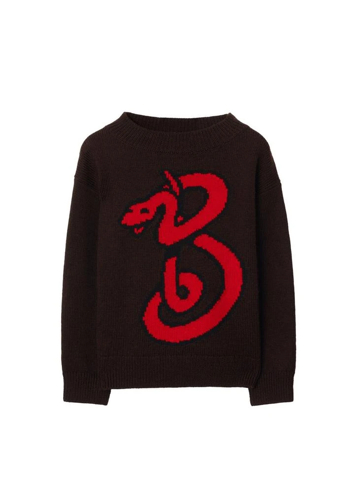 Burberry B snake wool sweater 1