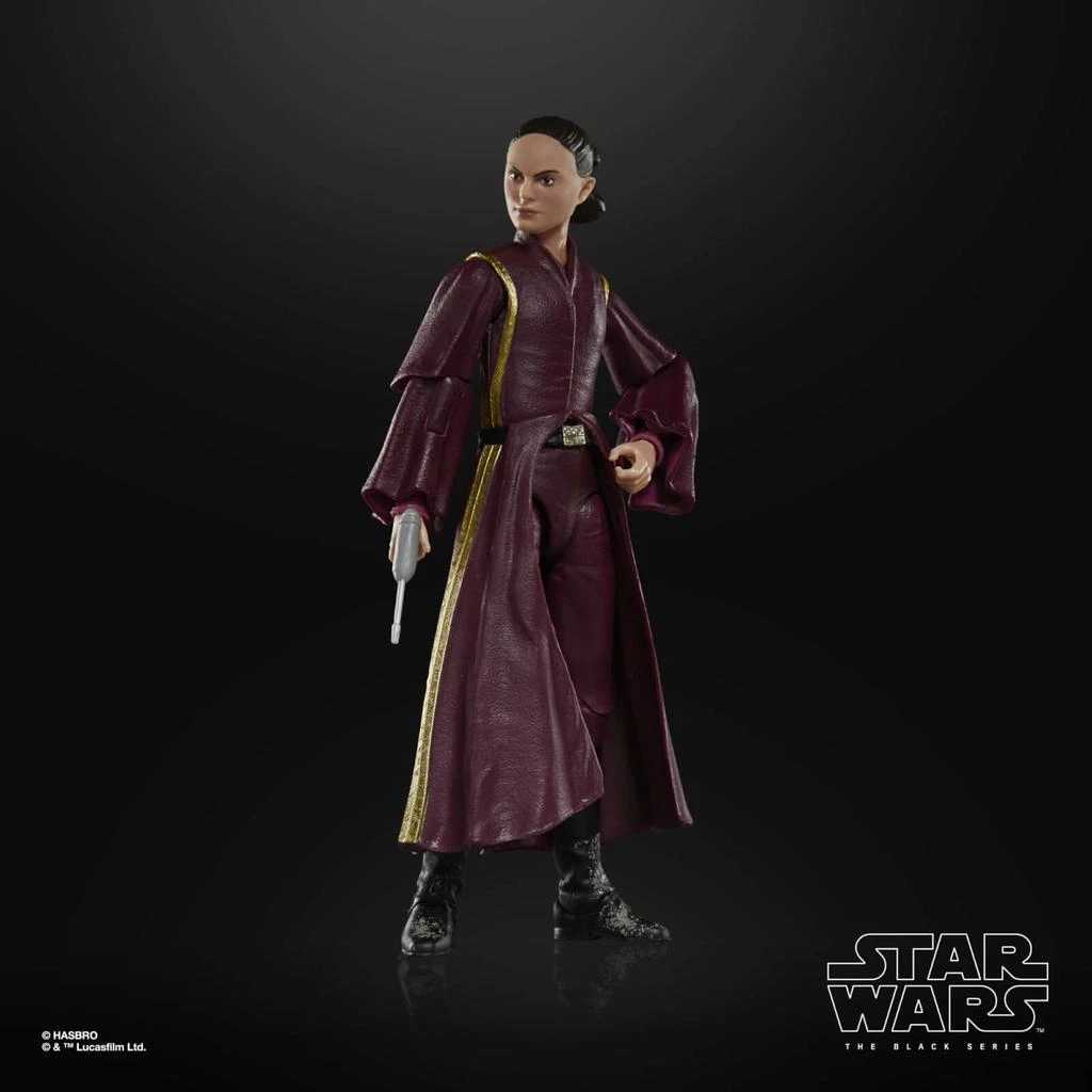 Hasbro Hasbro Star Wars The Black Series Padmé Amidala Action Figure (6”) 1