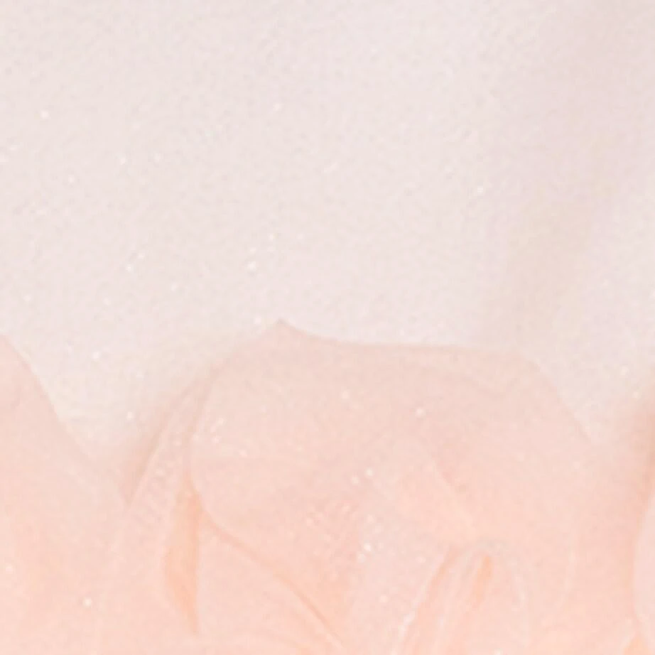 Bimbalo Tulle Rose-Detail Dress (3-24 Months) 4