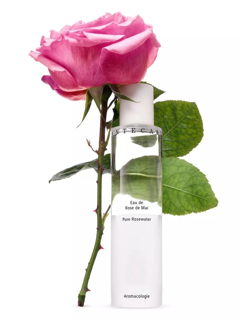 Chantecaille Pure Rosewater 2