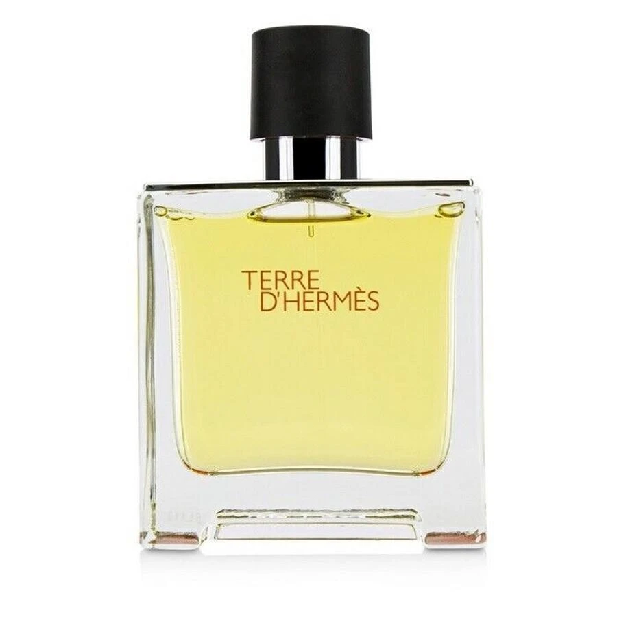 Hermes Hermes Terre D'Hermes Mens EDP 1