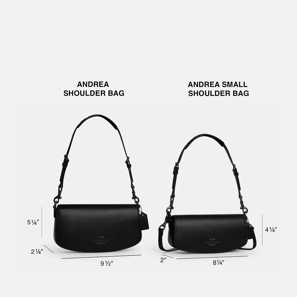 Coach Andrea Shoulder Bag 6