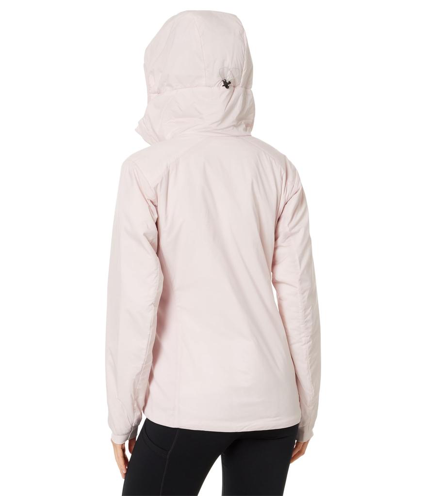 Arc'teryx Atom Hoody