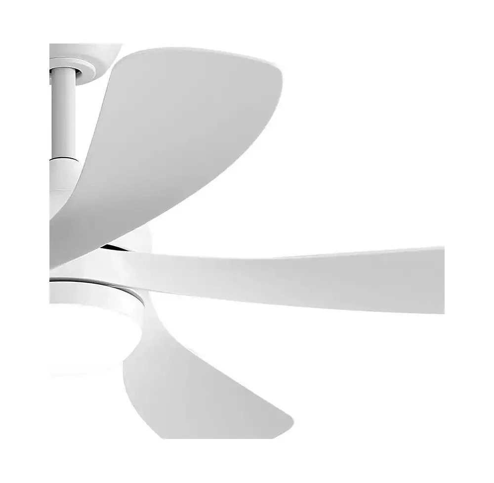 Sofucor 52-inch Modern Downrod Indoor ABS 5 Blades LED Light with Remote Control Support Six Speed Ajustable Ceiling Fan 5
