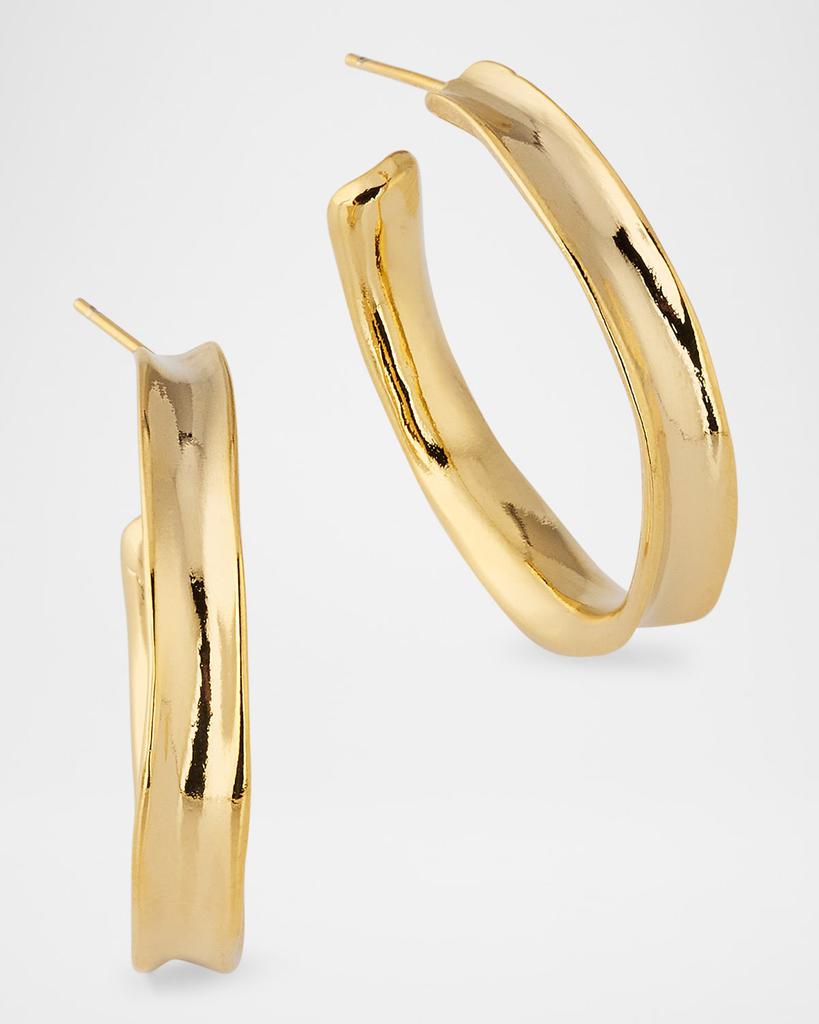 Devon Leigh Small Hoop Earrings