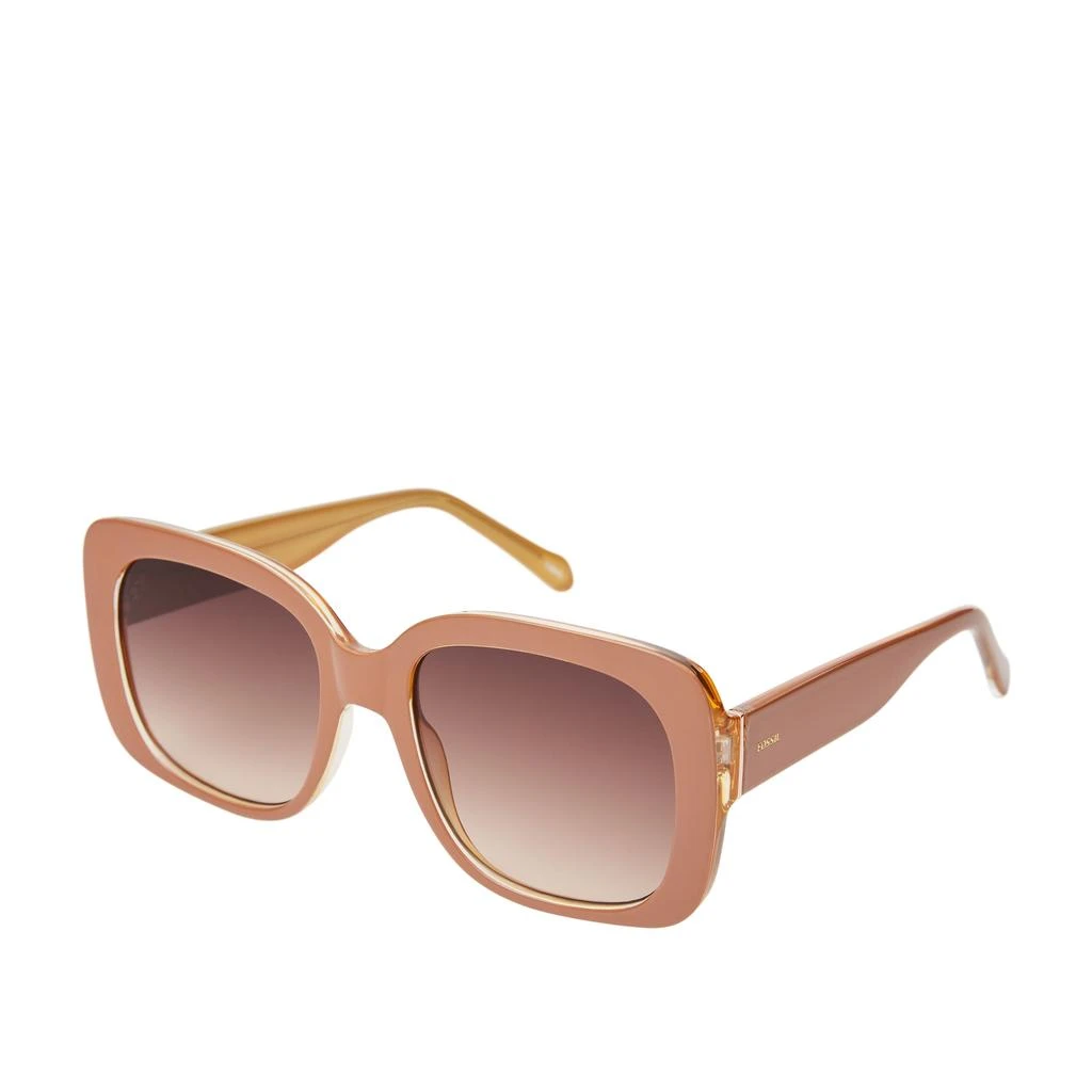 Fossil Fossil Women's Butterfly Sunglasses 1