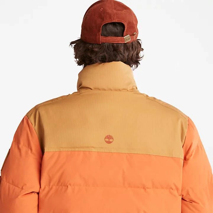 Timberland Welch Mountain Puffer Jacket for Men in Orange 7