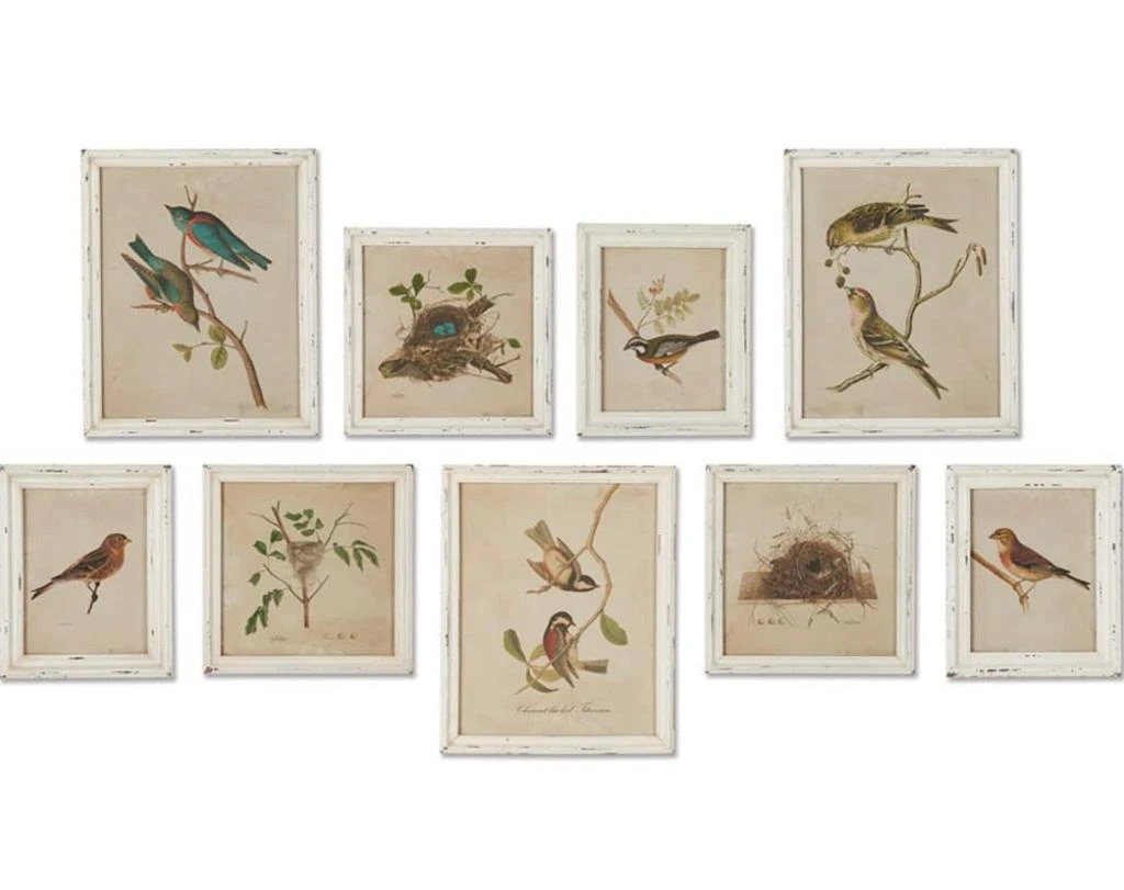 Napa Home
Garden Framed Aviary Bird
Nest Habitat Prints