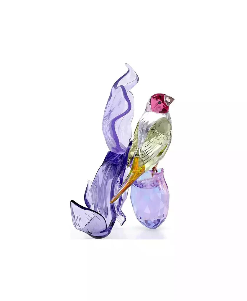 Swarovski Idyllia Gouldian Finch and Orchid Figurine 4