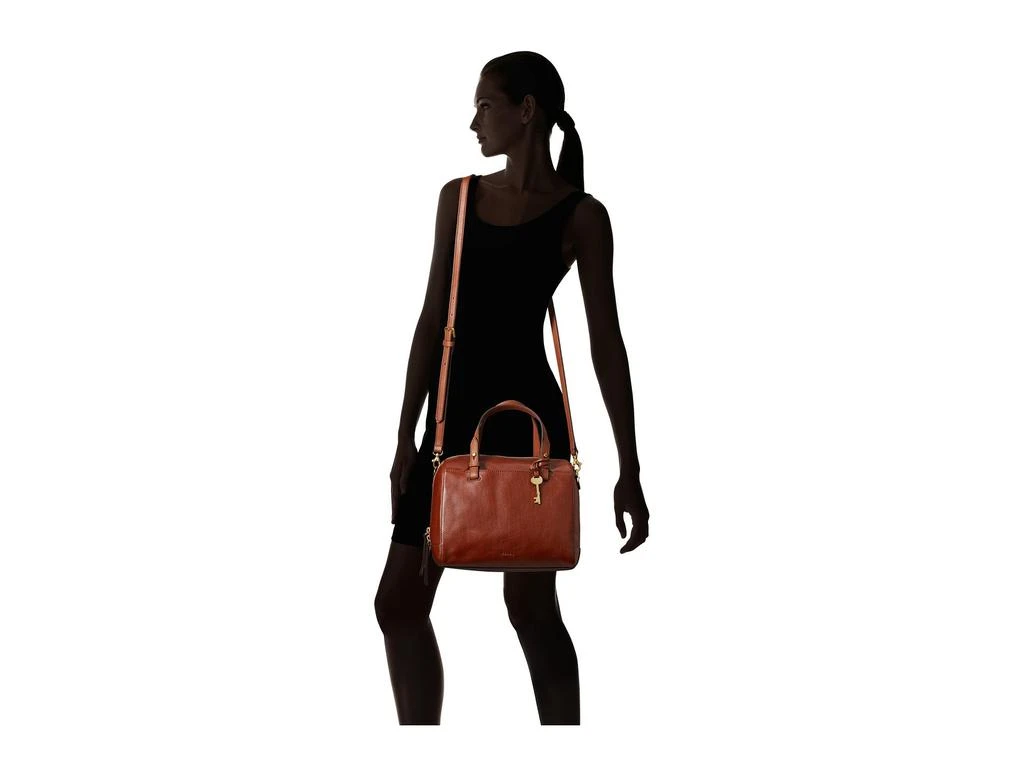 Fossil Rachel Satchel 6