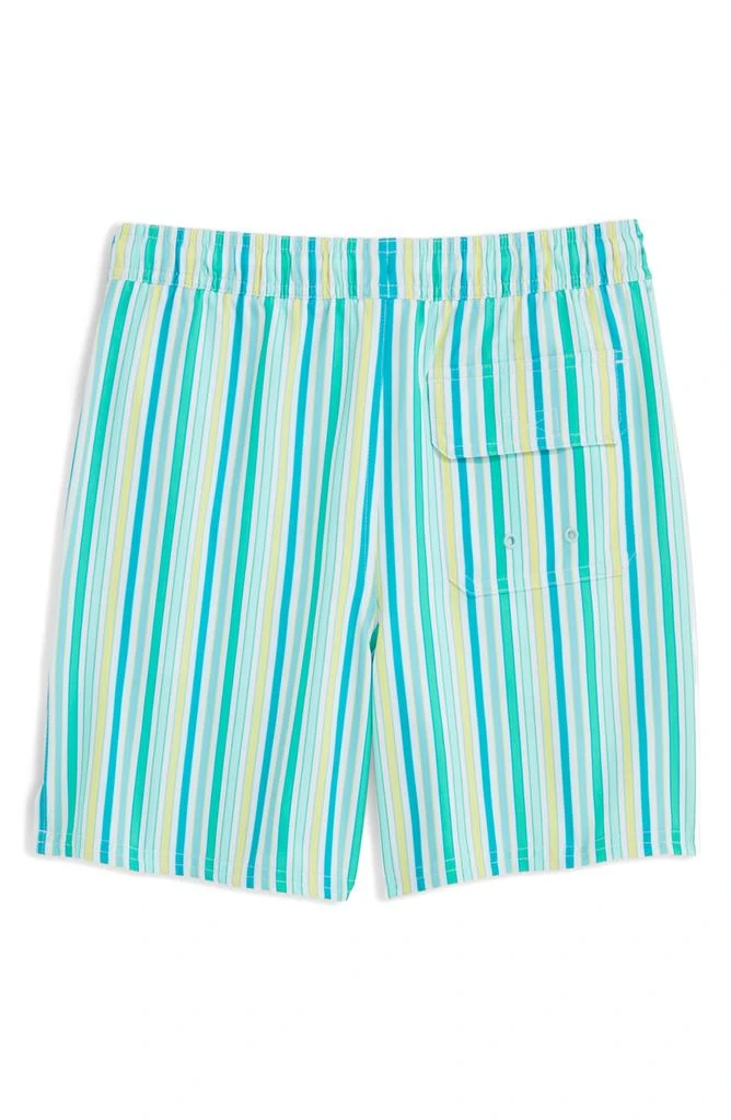Vineyard Vines Kids' Chappy Crab Print Swim Trunks 2