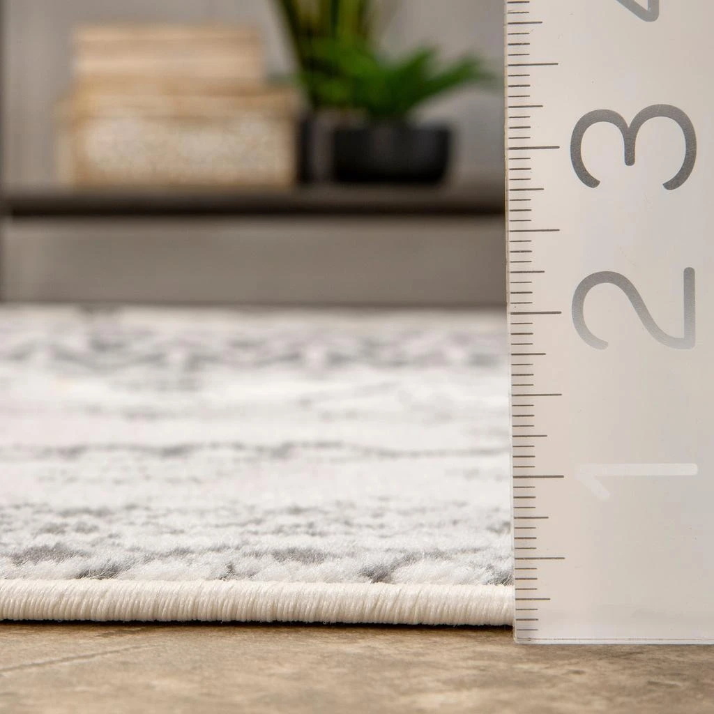 nuLOOM Transitional Moroccan Frances Area Rug 6