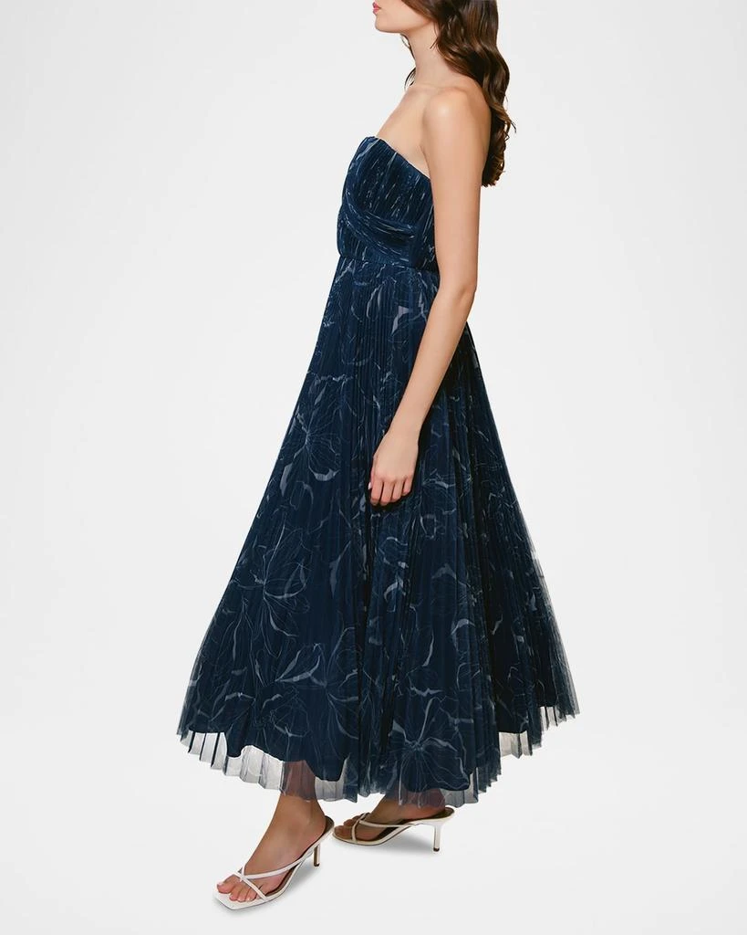 Hutch Corene Pleated Floral-Print Tulle Ankle Gown 4