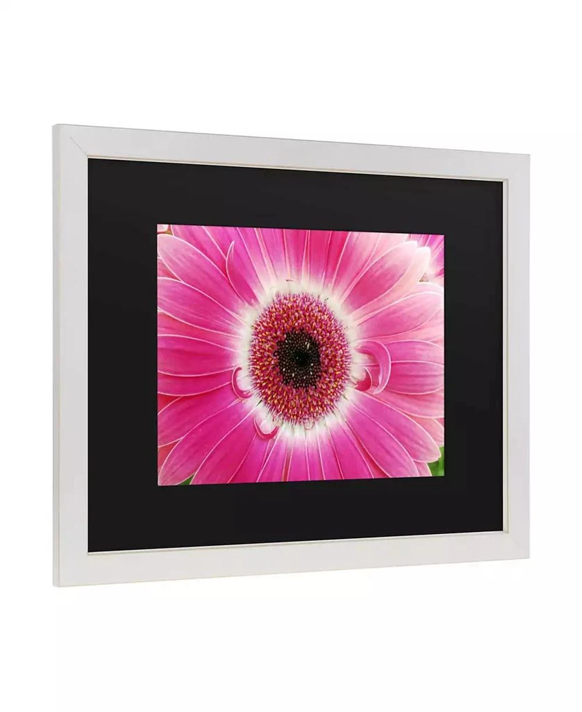 Trademark Global Kurt Shaffer Pink Gerber Matted Framed Art - 20" x 25" 2