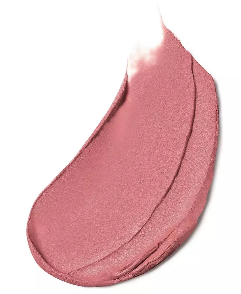 Estée Lauder Pure Color Long-Lasting Matte Lipstick 2