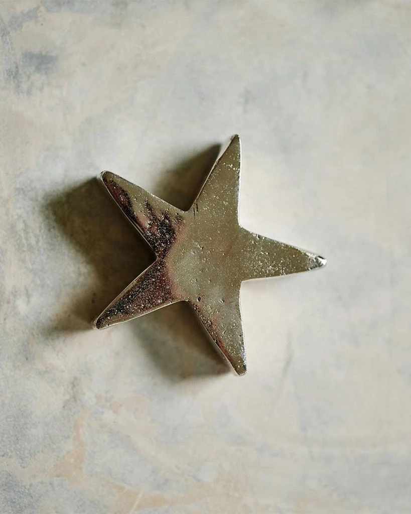 Jan Barboglio Estrella Star Paperweight 2