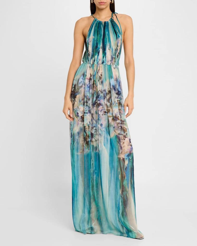 Alberta Ferretti Flower-Print Pleated Chiffon Halter Gown 4