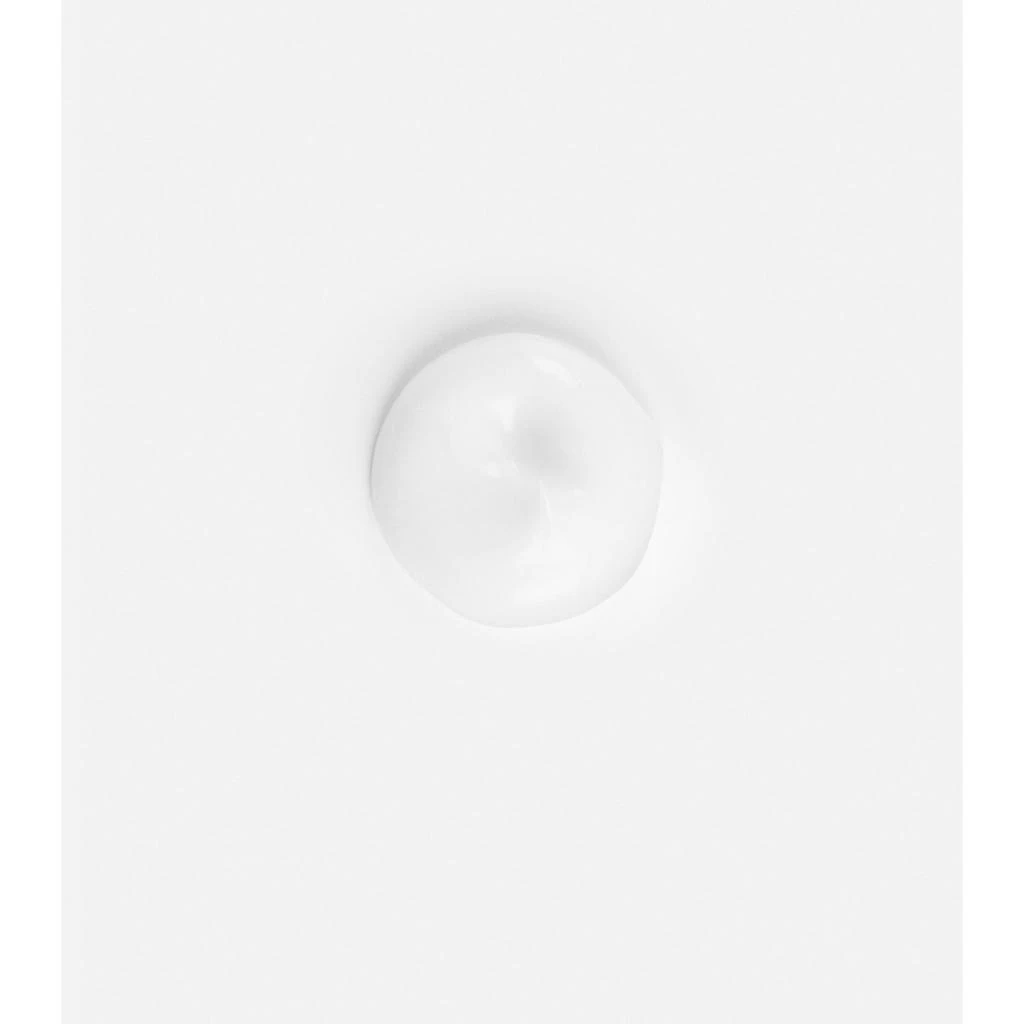 Kiehl's Amino Acid Shampoo 2