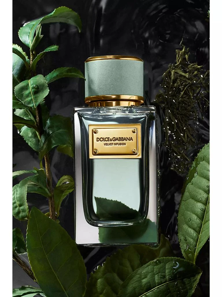 Dolce & Gabbana Velvet Infusion Eau de Parfum 3