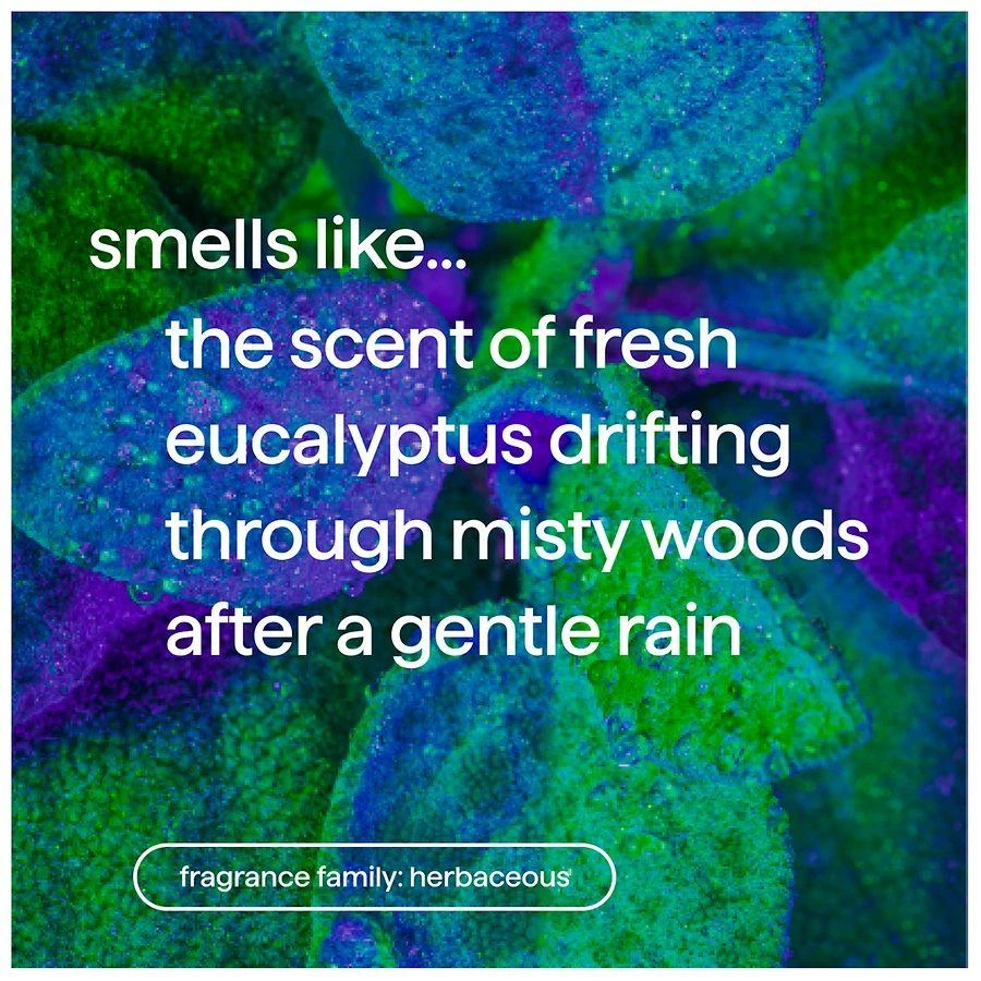 Method Foaming Hand Wash Eucalyptus + Rosemary 4