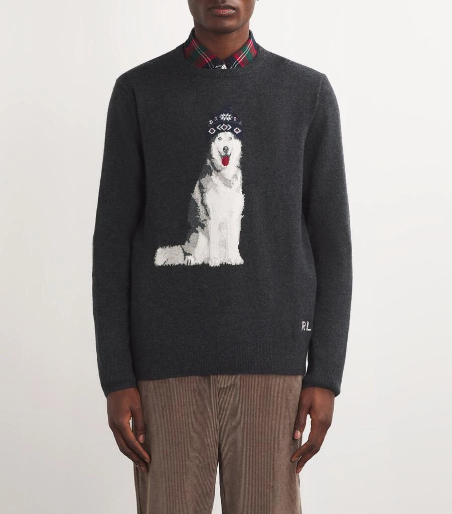 Ralph Lauren Cashmere Dog Sweater 2