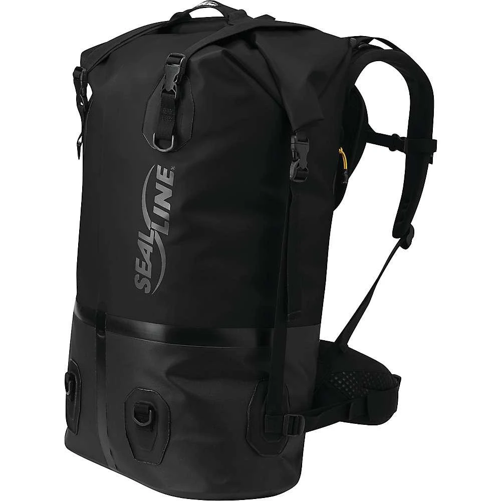 SealLine SealLine Pro Dry Pack 4