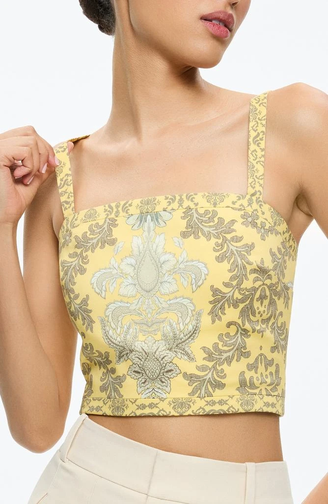 Alice + Olivia Sasha Paisley Lace-Up Crop Top 5