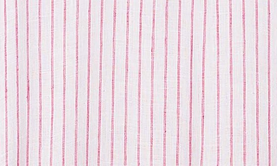 Frank & Eileen Stripe Linen Sleeveless Shirtdress 2