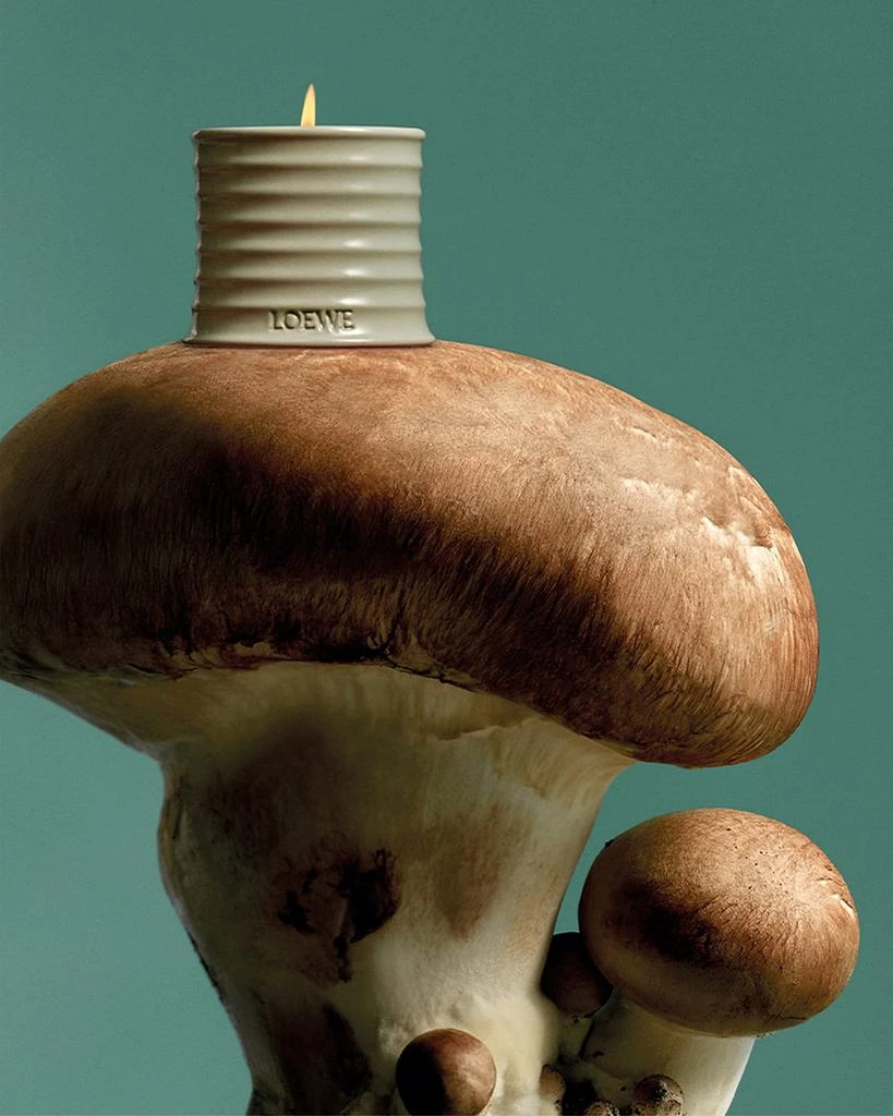 Loewe Mushroom Candle, 610 g 3