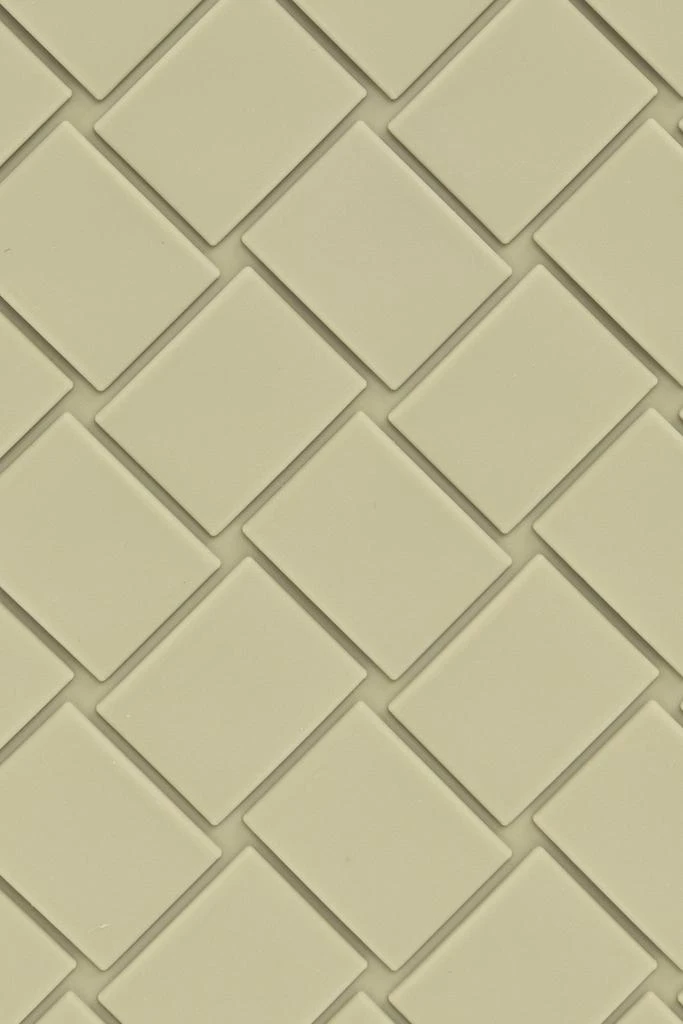 Bottega Veneta Bottega Veneta iPhone 13 Pro Case 2